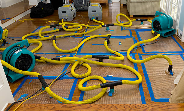 Professional Flood Damage Restoration technician working in Blair, NE